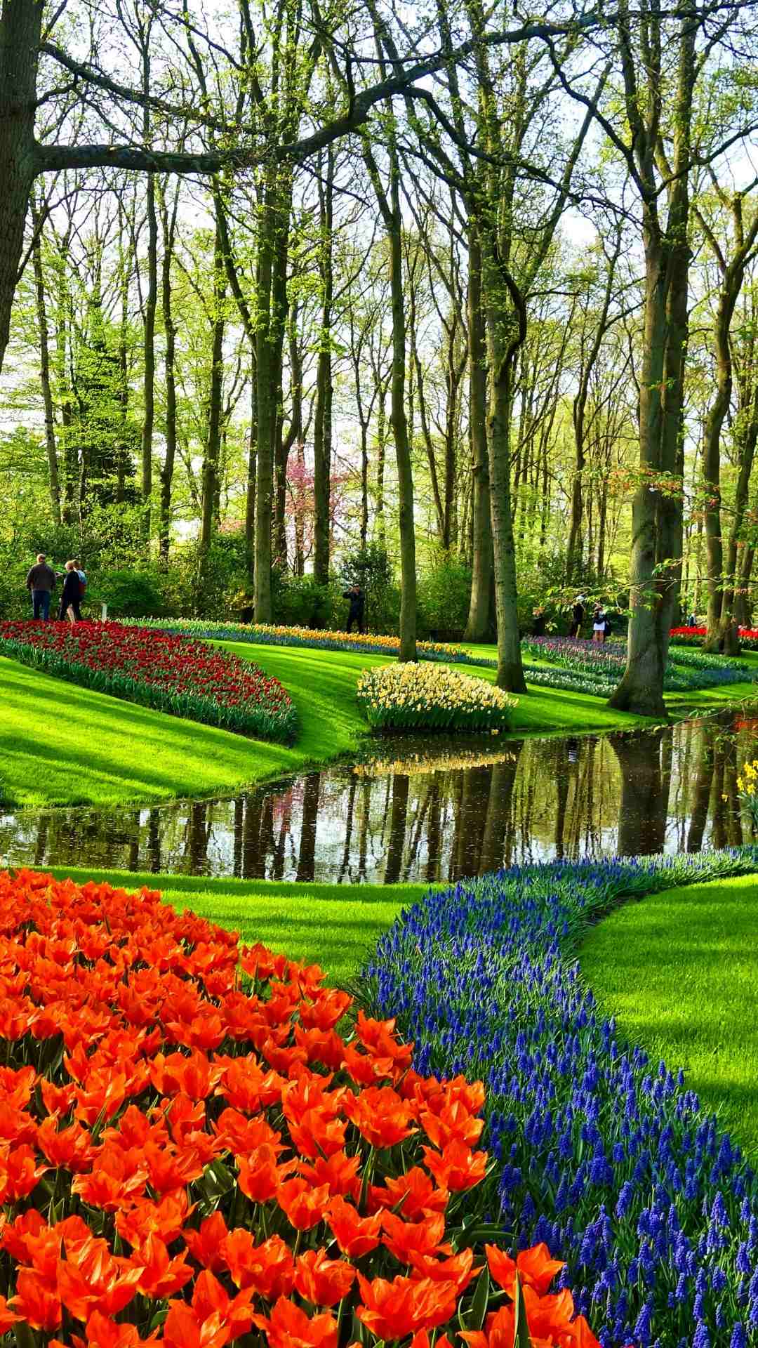 Flower wallpaper