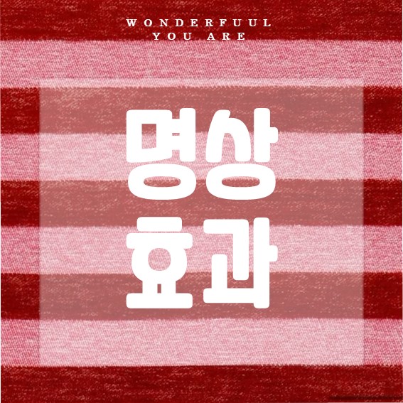 명상의 과학적 효과와 실천법까지