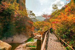 출처 구글이미지 설악산 단풍