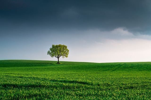 고립감을 느낄 때 대처하는 은퇴자의 자세
