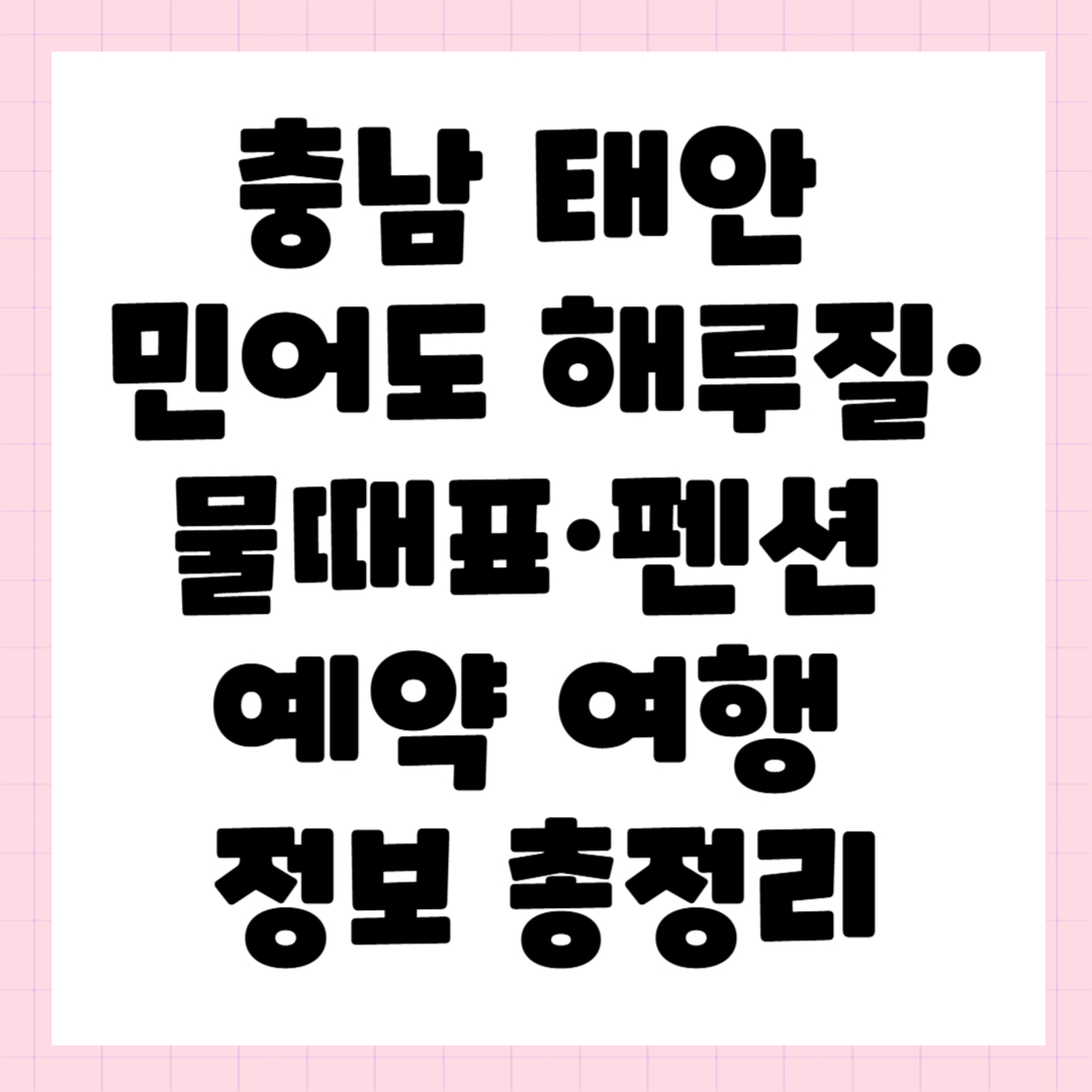 충남 태안 민어도 해루질·물때표·펜션 예약 여행 정보 총정리