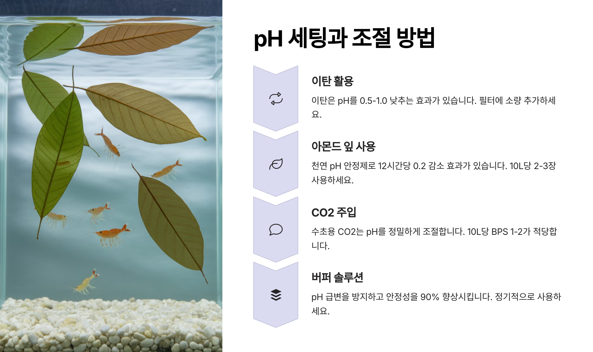 pH 세팅과 조절 방법