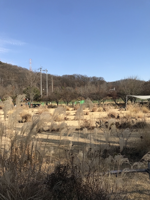 플렌테이션 야외