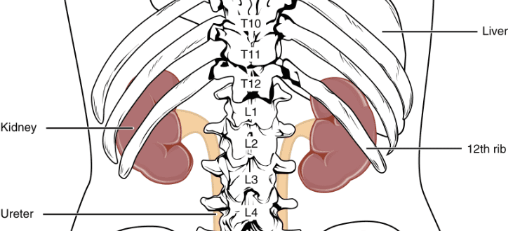 네르포제증후군 종류