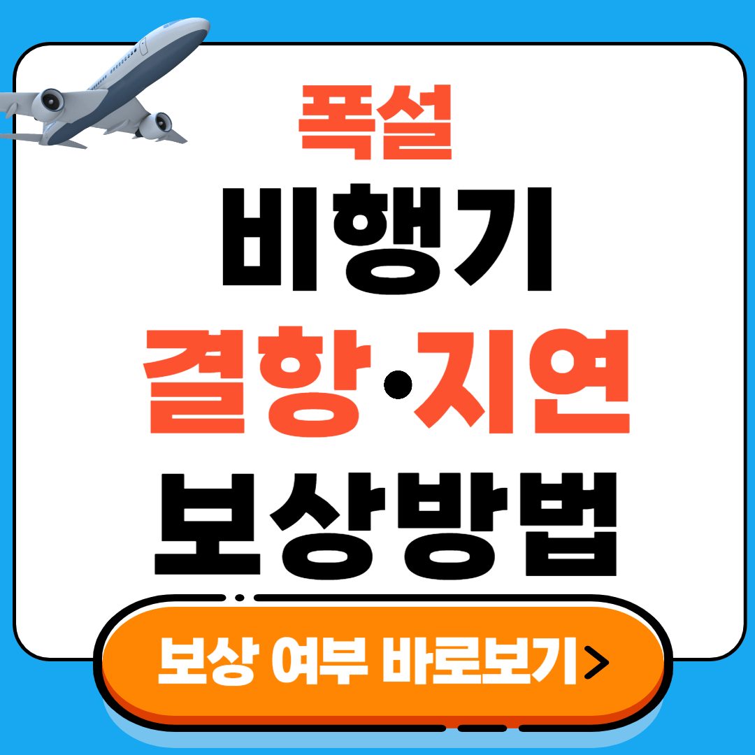 폭설 비행기 결항 지연 보상방법, 보상항목