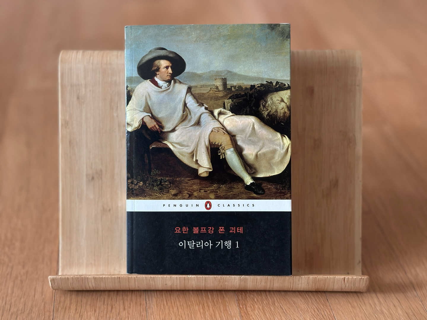 괴테 이탈리아 기행 표지