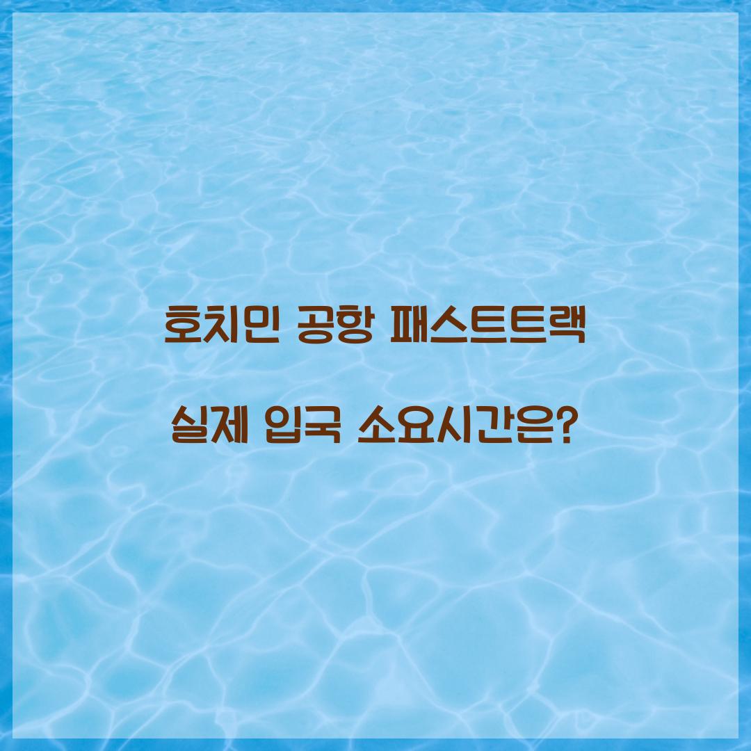 호치민 공항 패스트트랙 실제 입국