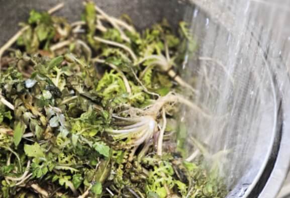 냉이된장국 끓이는법