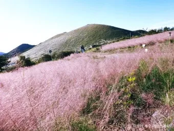 9월 제주 날씨 총정리 기온 비 일교차 옷차림 정보_19