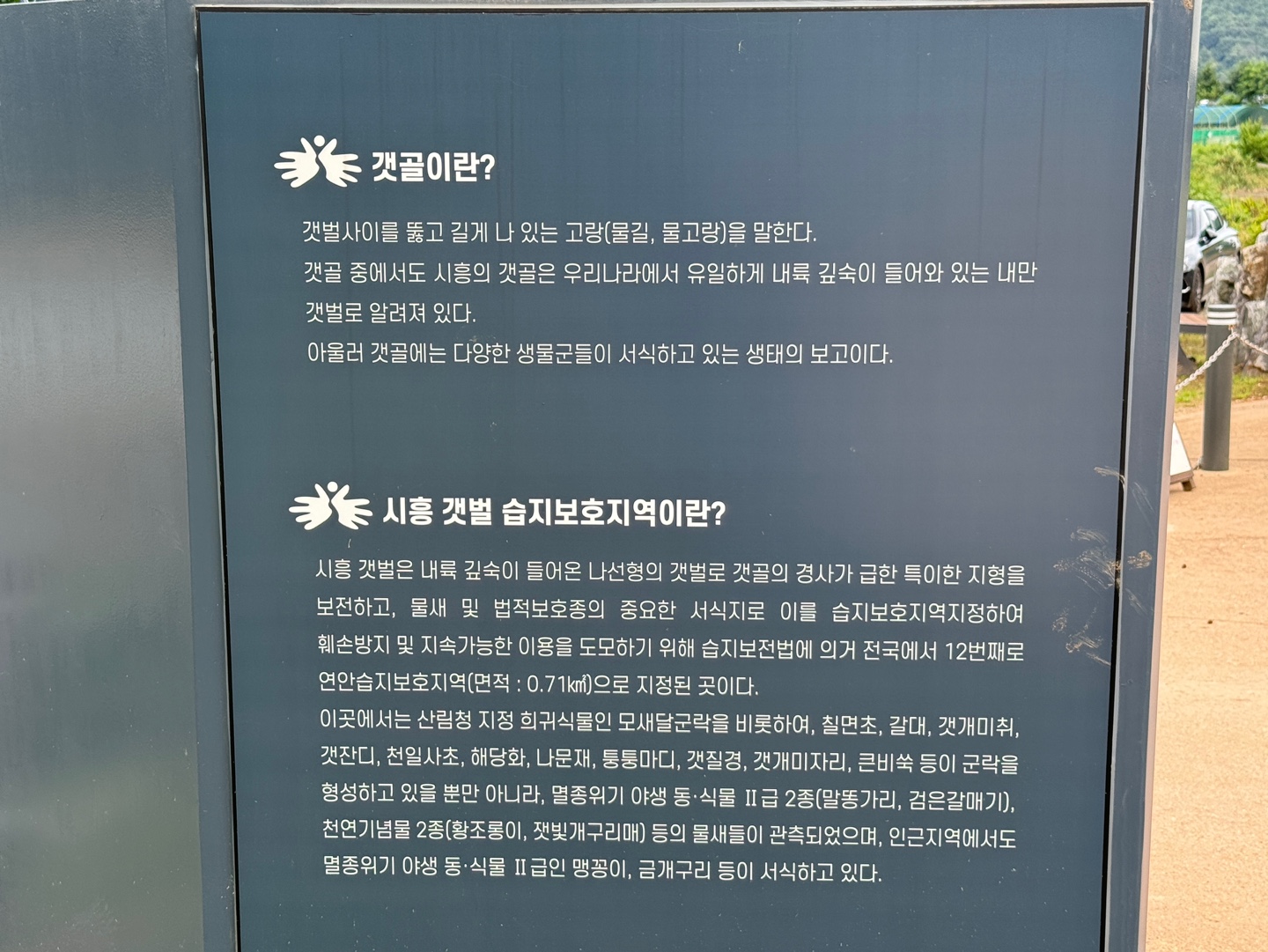 갯골캠핑장