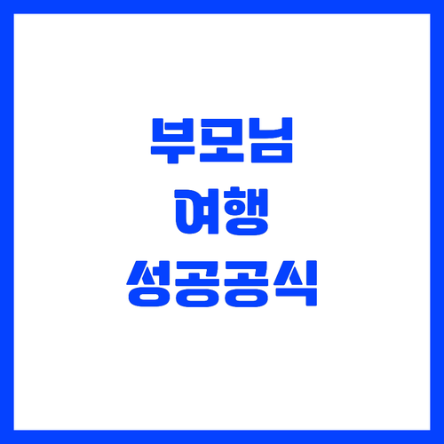 성공적인 부모님 동반 여행을 위한 필..