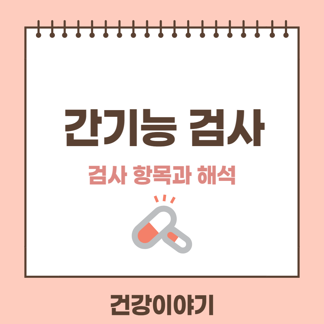 간기능검사에 대해