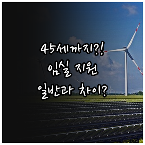 일반 청년월세와 다른 임실군 지원 만..