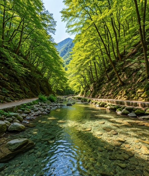 국내 여름 여행지 추천 BEST 5 무더운 여름 시원하게 떠나자