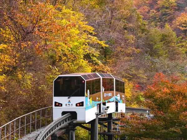강원도 삼척 환선굴 입장료 모노레일 요금