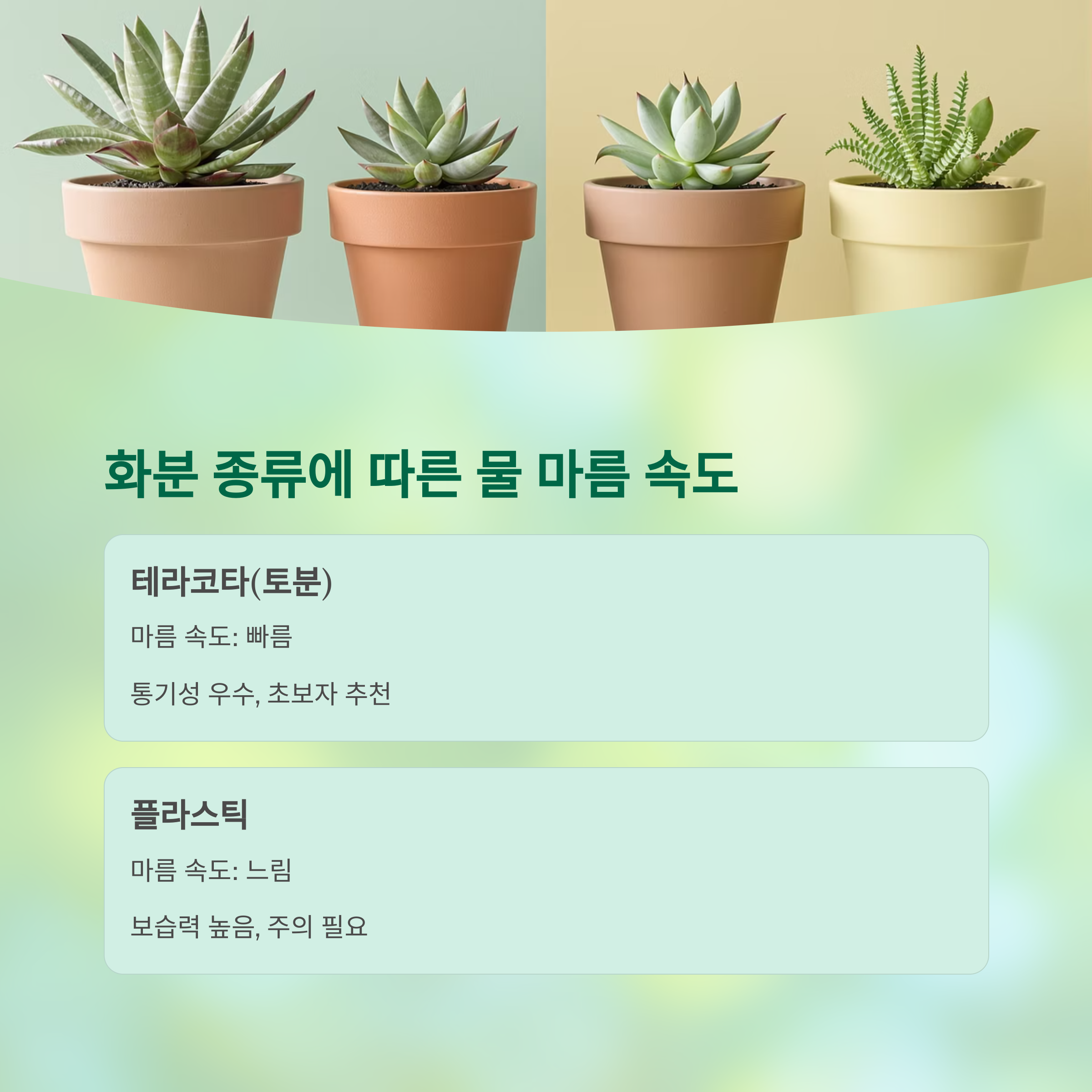 화분 종류에 따른 물 마름 속도