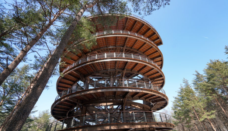 태백산 하늘전망대