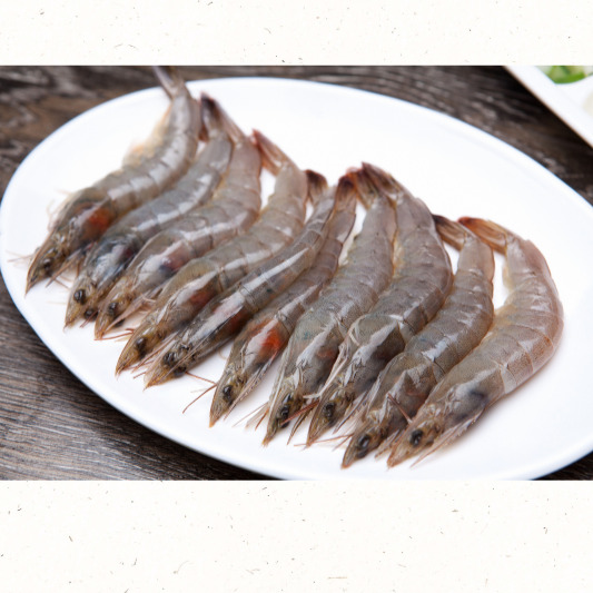 대하 효능과 영양