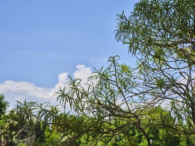 2023년 2월 3월 4월 늦겨울 초봄 봄 날씨 기온 강수량 전망 예보 예측1