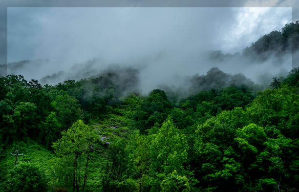 화담숲 야경 촬영 모노레일 입장료 할인 예약 단풍 시기 데이트 코스 시간