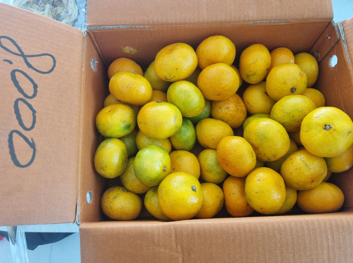 귤 못생겨도 맛있다