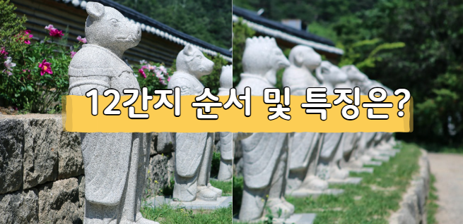 12지간지 순서 동물 별 특징 총정리(잘맞는 띠, 안맞는 띠)