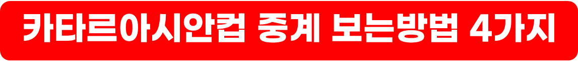 2023 카타르 아시안컵 요르단전