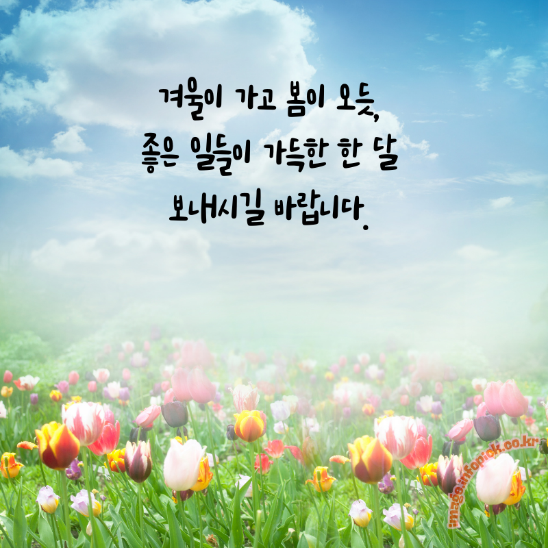 3월 인사말 문구 이미지 모음집3월 인사말 문구 이미지 모음집