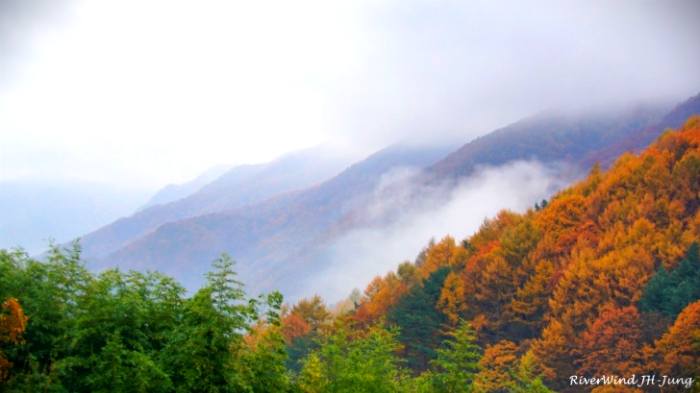 지리산 청학동 단풍