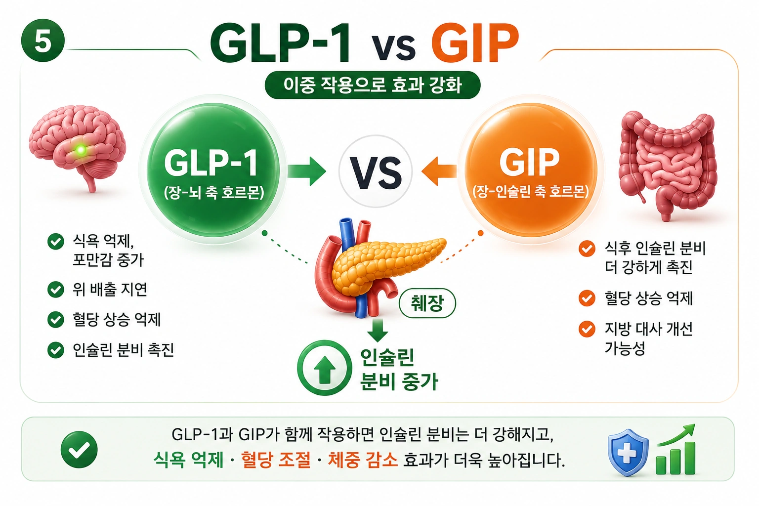 GLP-1-vs-GIP