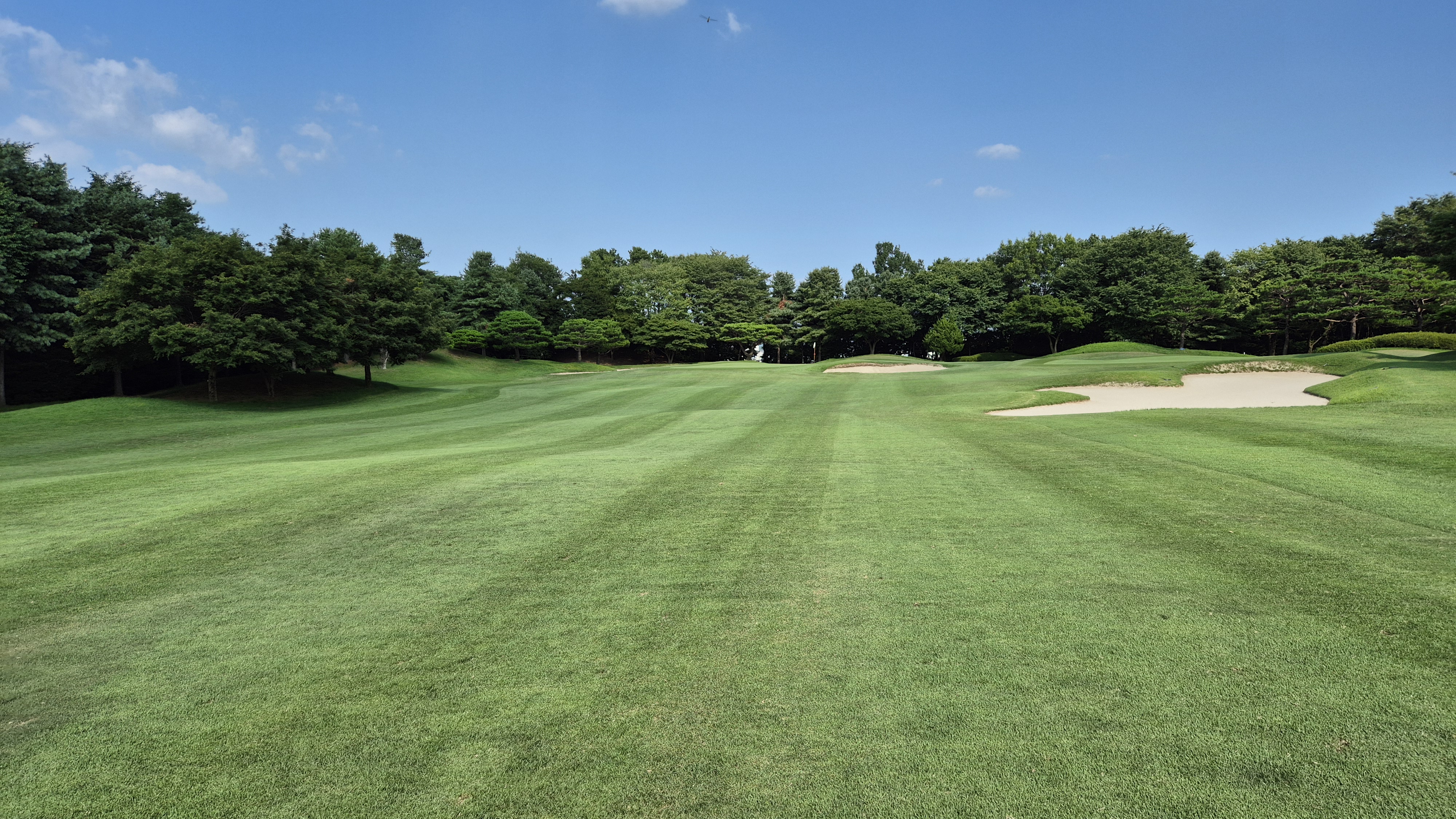 태광cc 북-서 코스 사진 및 공략 정보