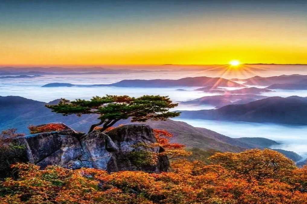 대둔산 케이블카