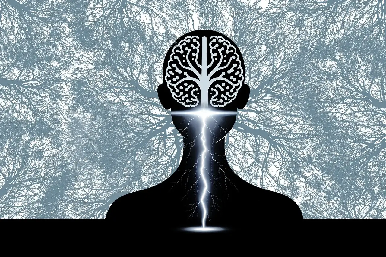 인지과학에서 바라보는 문제 해결 과정