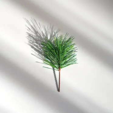 솔잎 효능수확기솔잎 효소 만드는법솔잎차세척활용법보관법까지_8