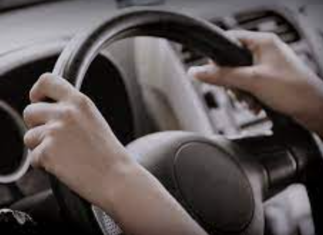 운전면허증 분실신고