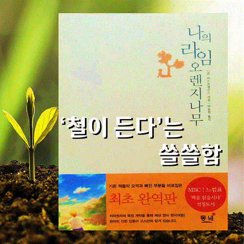 나의 라임오렌지나무 책 표지