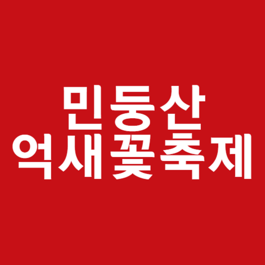 민둥산 억새꽃축제