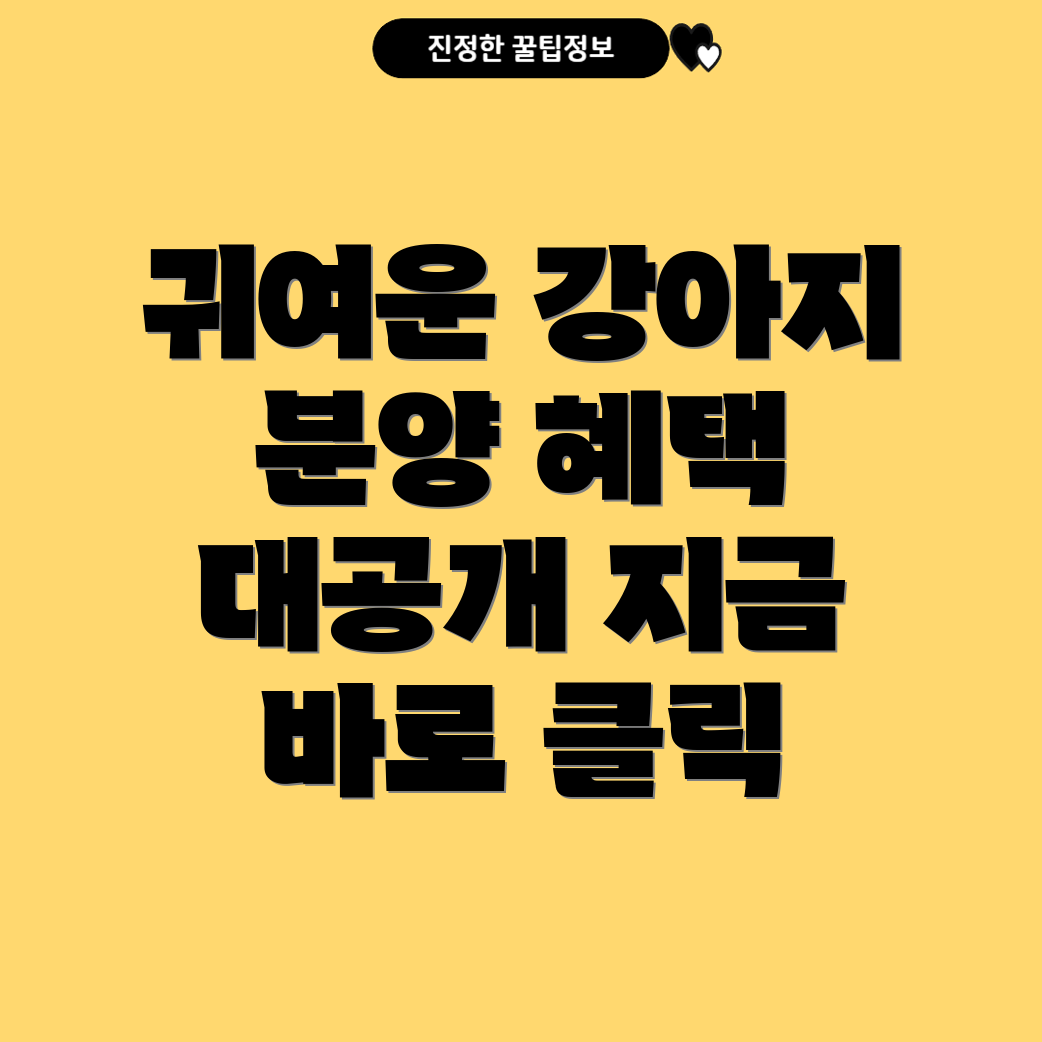 평택 강아지 분양