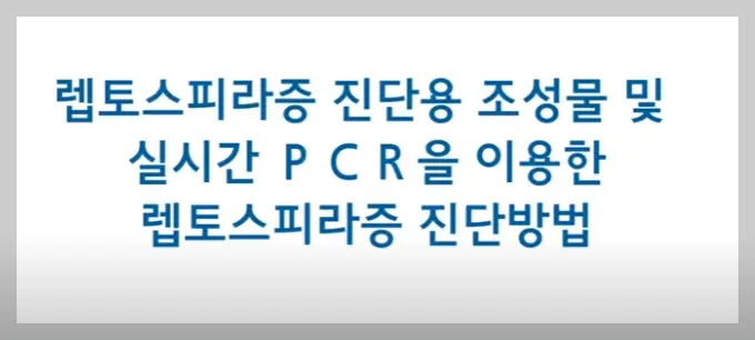 렙토스피라증 실시간 PCR
