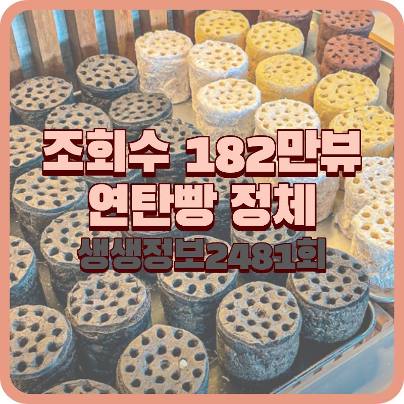 생생정보 2481회 연탄빵 182만뷰 화제! 부산 영도 카페385 위치 메뉴 가격