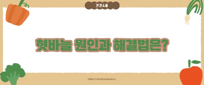 혓바늘이 돋는 이유 (+빠른 완화법)