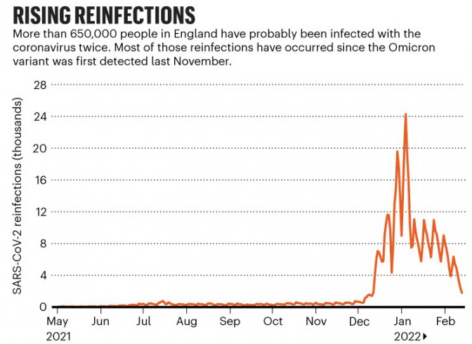 코로나 오미크론 확진자 완치 치료후 재감염