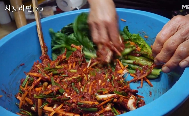 사노라면-오뚝이-춘화-엄마-여수-돌산-갓김치