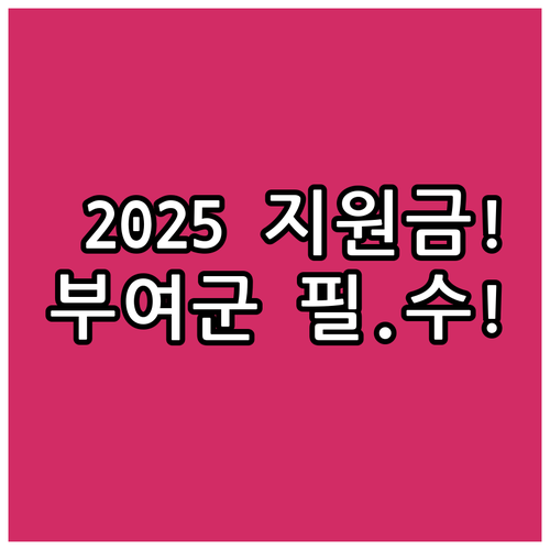 2025 가정위탁보호 지원 부여군 아..