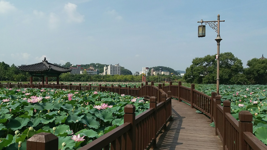 전주 덕진공원