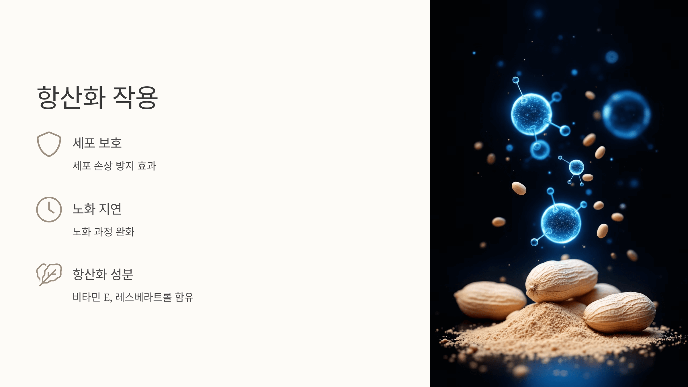 땅콩 사진입니다.