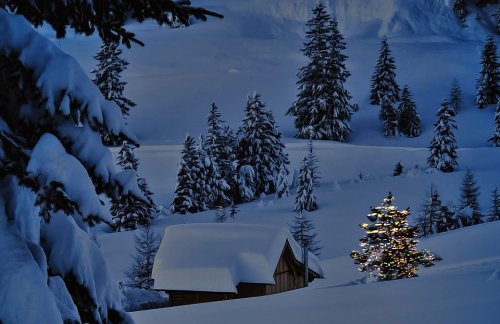 성탄절 밤의 장식