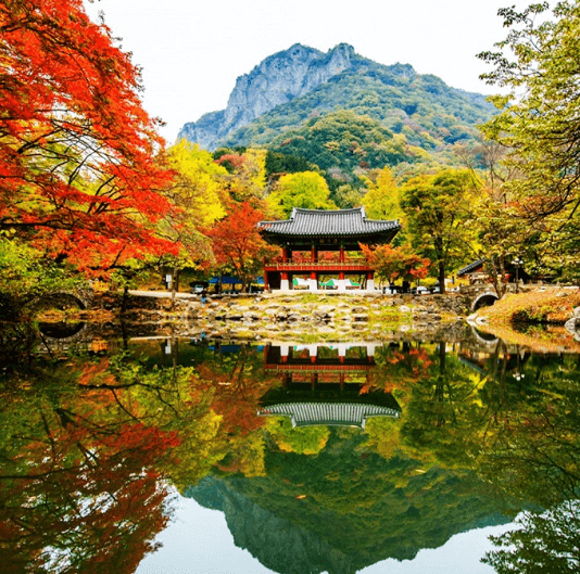 단풍여행 단풍트레킹 당일버스 여행