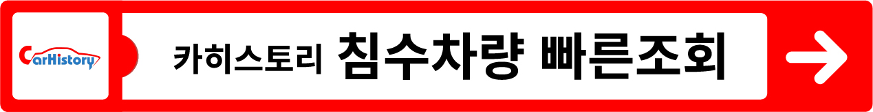 침수차량 구별법&#44; 침수차량 조회 바로가기