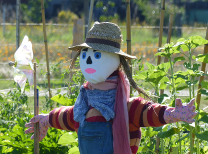 허수아비 마을에서 하룻밤 – 일본 나가로 허수아비 축제